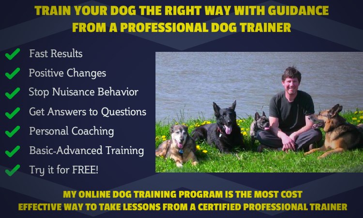Online Dog Training - Member Benefits